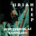 June Evening At Kammgarn